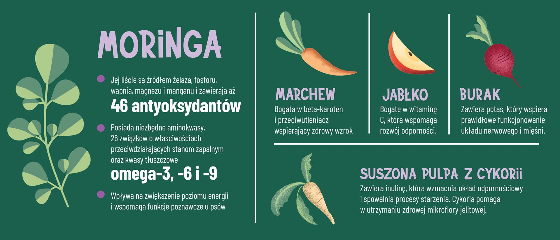 Comfy Appetit Vita Buffalo Karma Sucha Dla Dorosłych Psów Bawół 12kg
